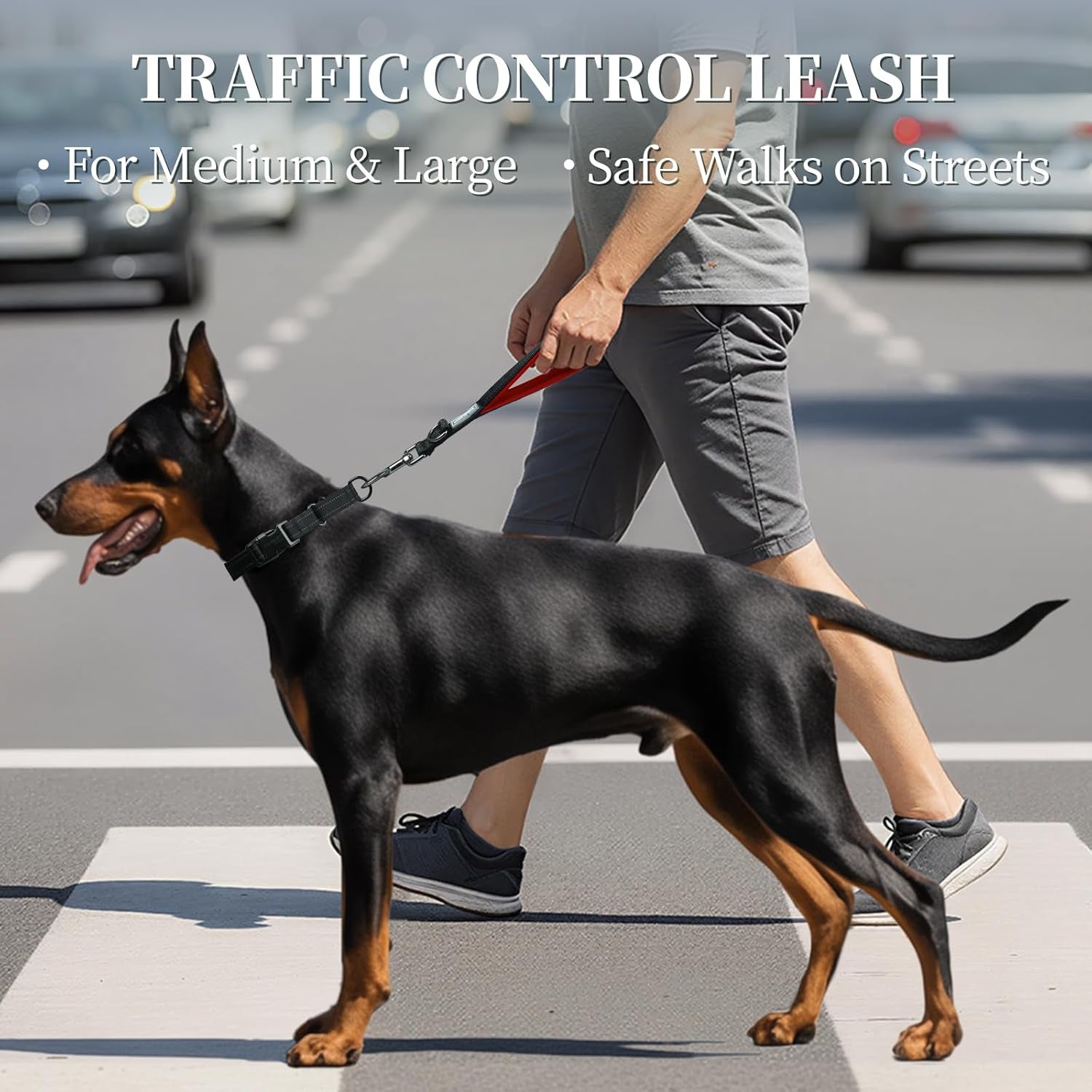 Short Dog Leash Closelyt Traffic Leash for Dog, 12In, Black/Red | with Soft Padded Handle for Walking & Training, Padded Neoprene Handle & Heavy Duty