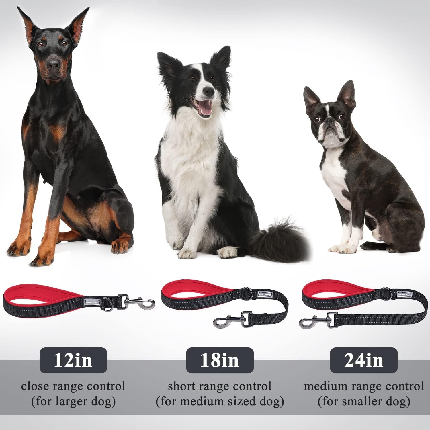 Short Dog Leash Closelyt Traffic Leash for Dog, 12In, Black/Red | with Soft Padded Handle for Walking & Training, Padded Neoprene Handle & Heavy Duty