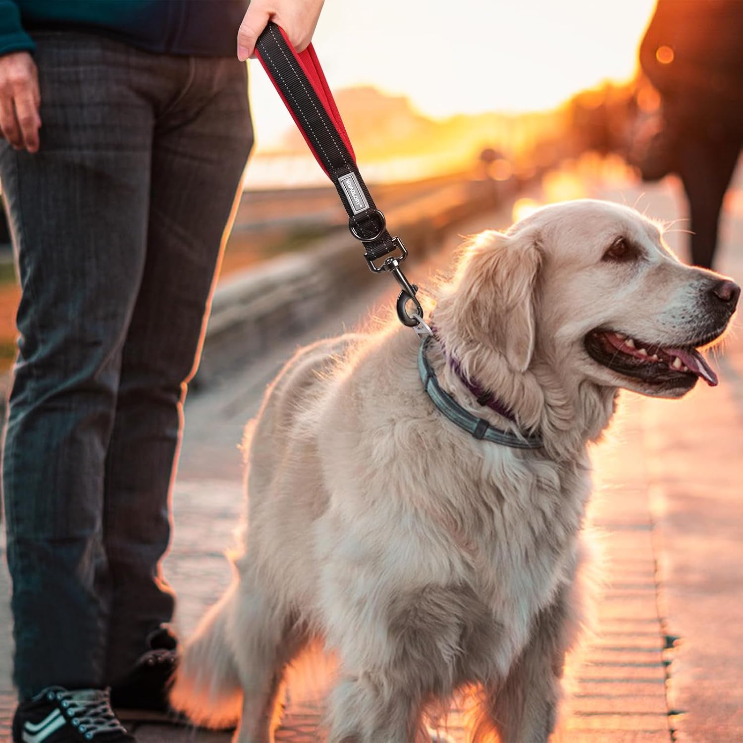 Short Dog Leash Closelyt Traffic Leash for Dog, 12In, Black/Red | with Soft Padded Handle for Walking & Training, Padded Neoprene Handle & Heavy Duty