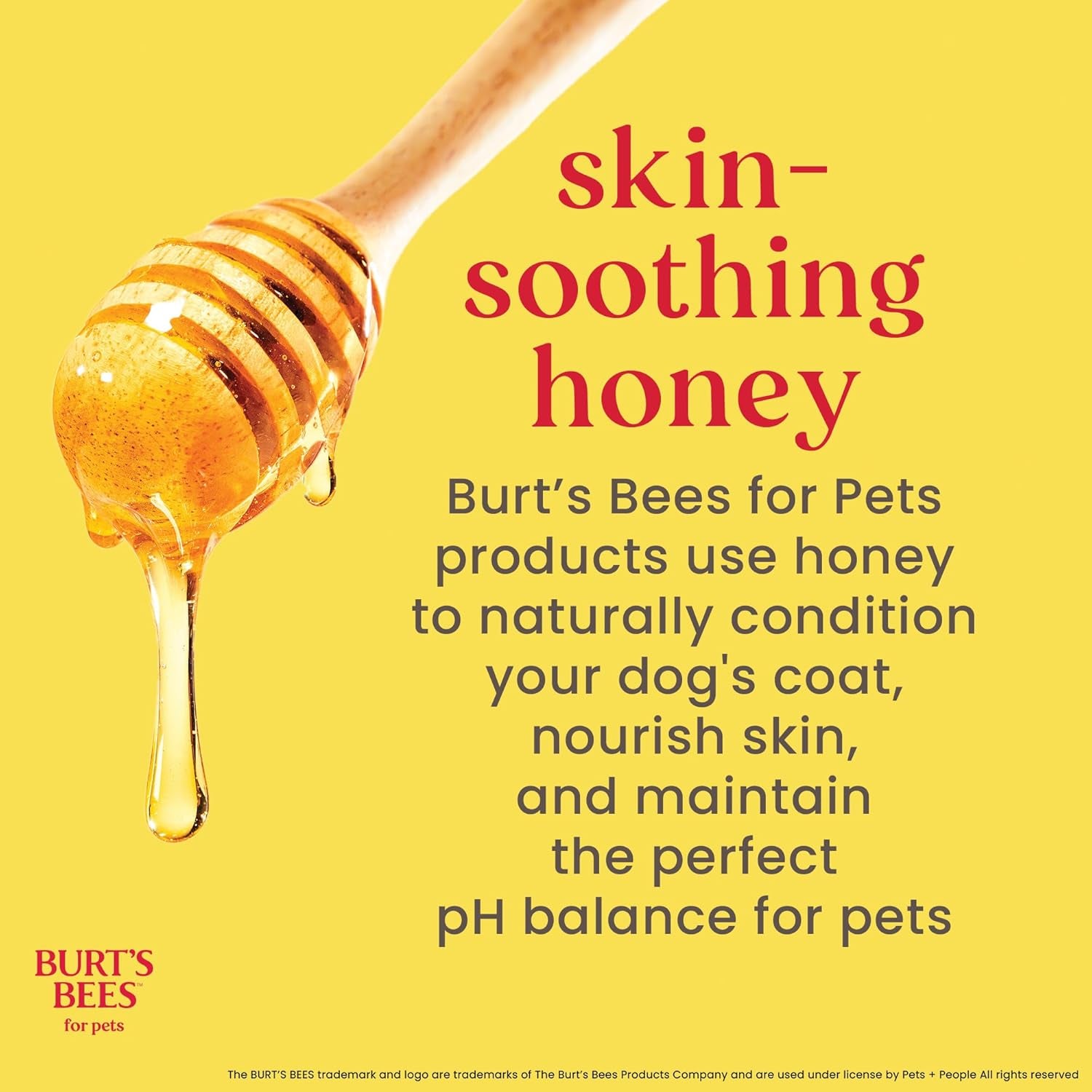 Burts Bees for Pets Honey Multipurpose Dog Grooming Wipes, 50 Count, 3-Pack | Honey Formula, Hypoallergenic Spot-Cleaning, Ph Balanced, Paws Face and Butt